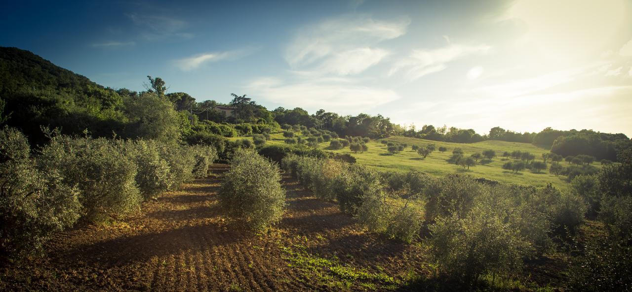 Вилла Agriturismo Cielsereno Казоле-д'Эльса Экстерьер фото